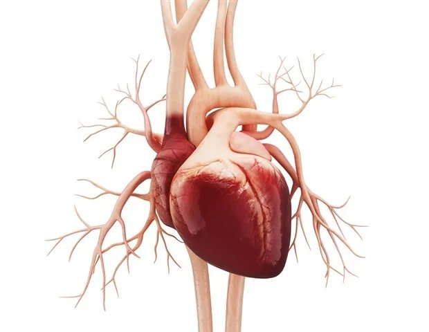 Study highlights strengths and barriers of remote heart failure care Study highlights strengths and barriers of remote heart failure care