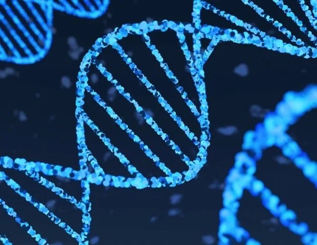 Study reveals evolutionary shift in gene crucial for the human nervous system Study reveals evolutionary shift in gene crucial for the human nervous system