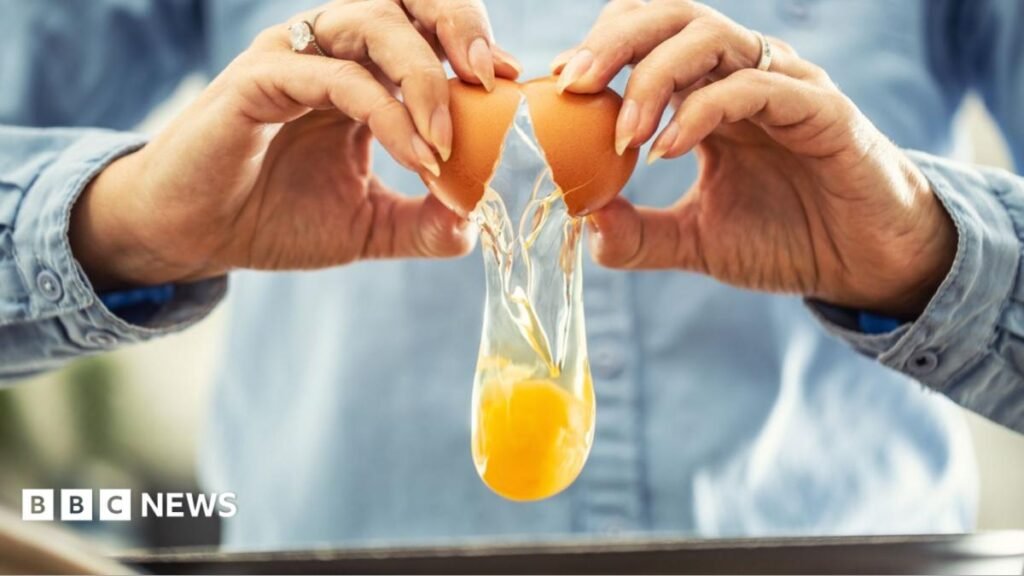 UK salmonella cases nearing 500 as egg investigations continue UK salmonella cases nearing 500 as egg investigations continue