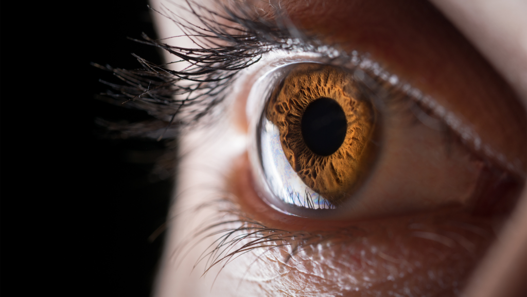 Meet the scientists 3D printing corneas to restore people’s vision, potentially filling a worldwide shortage of transplantable tissue Meet the scientists 3D printing corneas to restore people’s vision, potentially filling a worldwide shortage of transplantable tissue