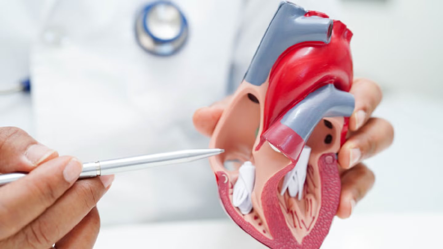 Shape Memory secures m to advance aortic clinical trials Shape Memory secures m to advance aortic clinical trials