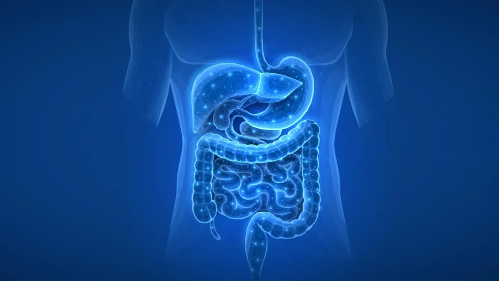 Common medications may change your gut for years Common medications may change your gut for years