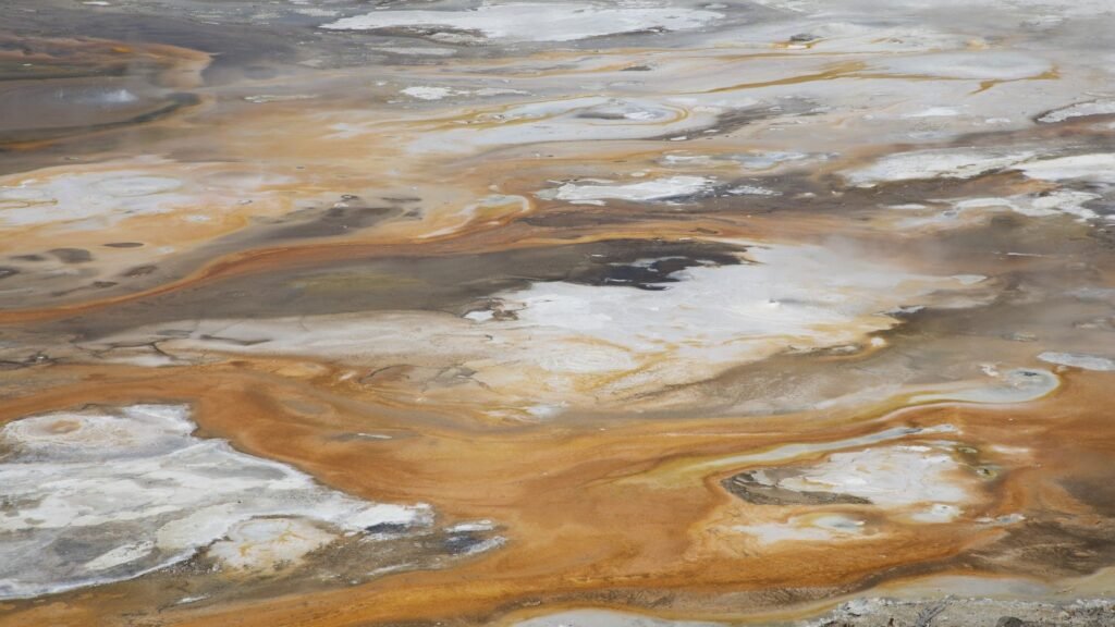 Scientists identify ‘sweet spot’ for early stage of life on Earth that preceded LUCA, the ancestor of all living things Scientists identify ‘sweet spot’ for early stage of life on Earth that preceded LUCA, the ancestor of all living things