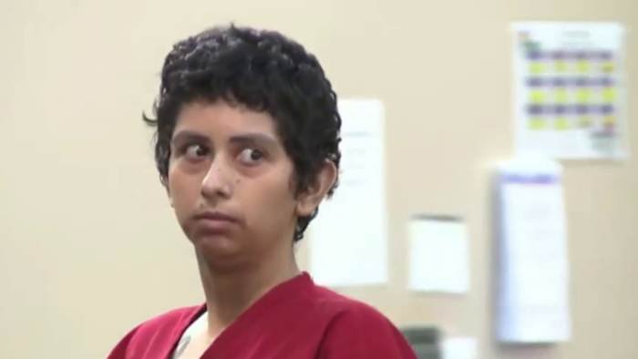 CPS report details mental health concerns before Marlene Vidal was charged in children’s deaths CPS report details mental health concerns before Marlene Vidal was charged in children’s deaths