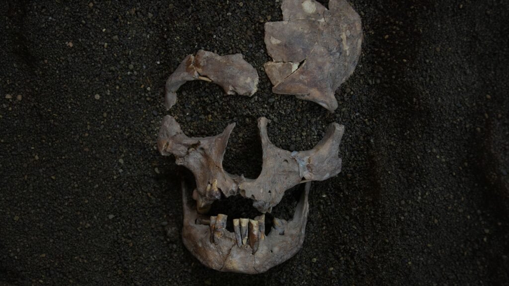World’s oldest evidence of habitual drug use traced back 25,000 years to Indonesia