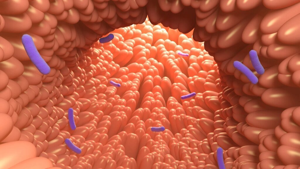 Could a parent’s hospital job shape a child’s nasal microbiome? Could a parent’s hospital job shape a child’s nasal microbiome?
