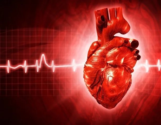 Eating four to six wholegrain servings daily protects heart health Eating four to six wholegrain servings daily protects heart health