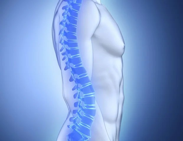 Experimental cancer drug could protect against osteoporosis and weight gain Experimental cancer drug could protect against osteoporosis and weight gain