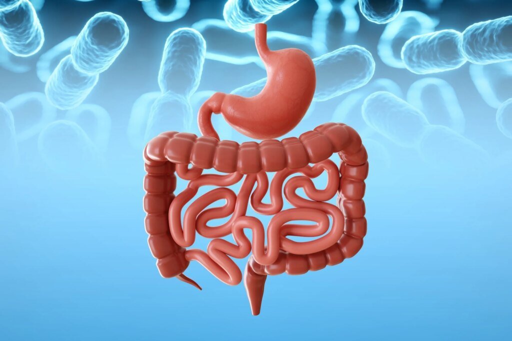 Gut microbiome may reveal inflammation and future disease risk better than age Gut microbiome may reveal inflammation and future disease risk better than age