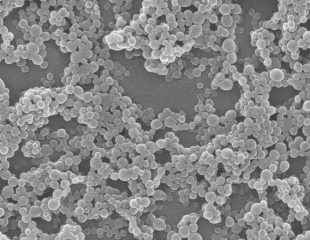 Mosaic nanoparticle vaccine boosts broad mucosal coronavirus immunity Mosaic nanoparticle vaccine boosts broad mucosal coronavirus immunity