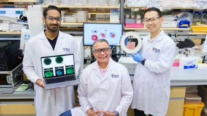 NUS scientists harness magnetic pulses to reprogram immune cells to fight breast cancer NUS scientists harness magnetic pulses to reprogram immune cells to fight breast cancer