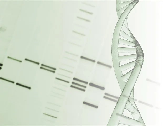 New genomic language AI model excels in predicting the pathogenicity of genetic variants New genomic language AI model excels in predicting the pathogenicity of genetic variants