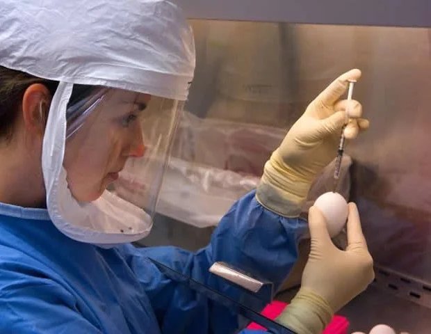 Nurses in Latin America faced severe systemic violence during the pandemic Nurses in Latin America faced severe systemic violence during the pandemic