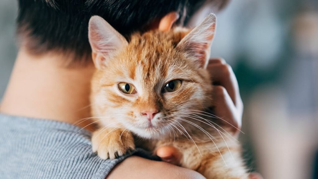 Only Cats Are Linked to Worse Mental Health in Young Kids, Study Finds : ScienceAlert Only Cats Are Linked to Worse Mental Health in Young Kids, Study Finds : ScienceAlert