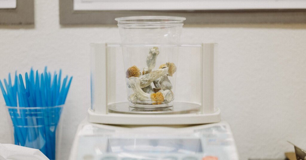 Psilocybin May Prevent Nerve Damage Caused by Chemotherapy, Study Finds