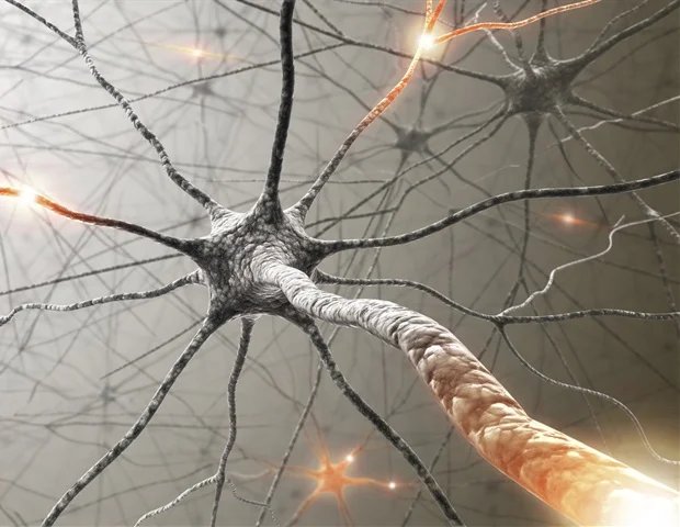 Researchers identify a rare genetic change linked to neurodevelopmental disorder Researchers identify a rare genetic change linked to neurodevelopmental disorder
