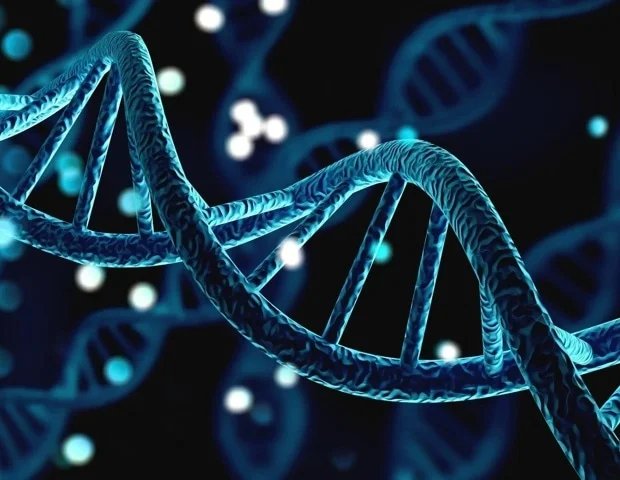 Study finds biases in tools predicting dangerous genetic mutations Study finds biases in tools predicting dangerous genetic mutations