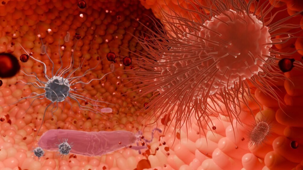 The obesity-microbiome story is more complicated than ‘good’ and ‘bad’ bacteria