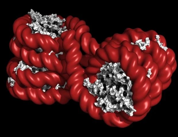 Two scientists win Horwitz Prize for Rett syndrome breakthrough Two scientists win Horwitz Prize for Rett syndrome breakthrough