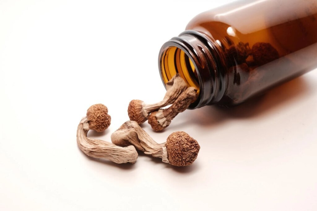 Why researchers are looking at psilocybin for repeated mild head injuries Why researchers are looking at psilocybin for repeated mild head injuries
