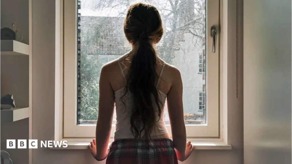 Young people are not snowflakes, head of mental health review says Young people are not snowflakes, head of mental health review says