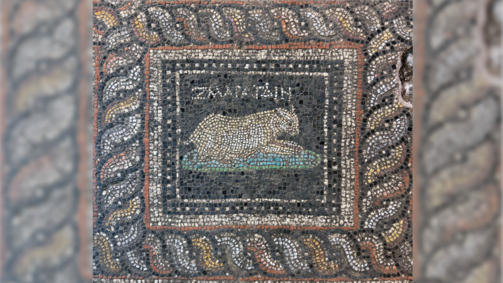 Stunning Roman-era mosaic discovered in Turkey features ‘Emerald’ the cat and ‘Ocean’ the dog Stunning Roman-era mosaic discovered in Turkey features ‘Emerald’ the cat and ‘Ocean’ the dog