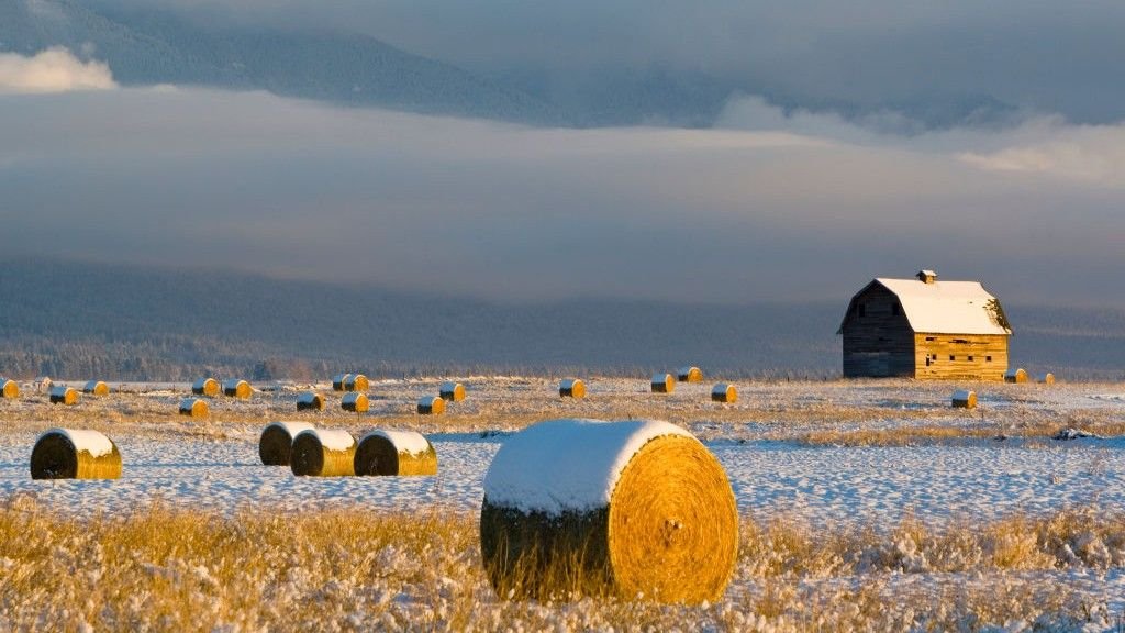 ‘There are no easy answers here’: New study forecasts a dire dip in food production if key Atlantic currents collapse ‘There are no easy answers here’: New study forecasts a dire dip in food production if key Atlantic currents collapse