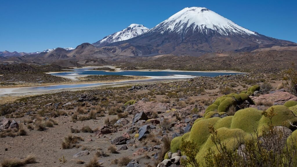 South American ‘Pompeii’: Volcanic eruption 22 million years ago preserved a snapshot of the Andes forming