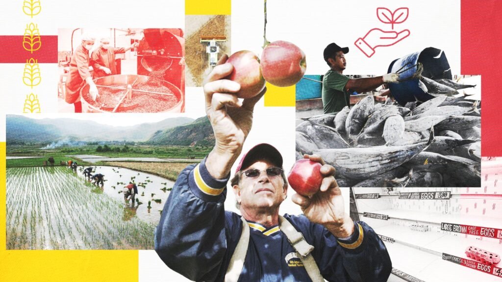 ‘The apple you eat isn’t the apple your granddaughter will eat’: What’s on the menu in a warming world? ‘The apple you eat isn’t the apple your granddaughter will eat’: What’s on the menu in a warming world?