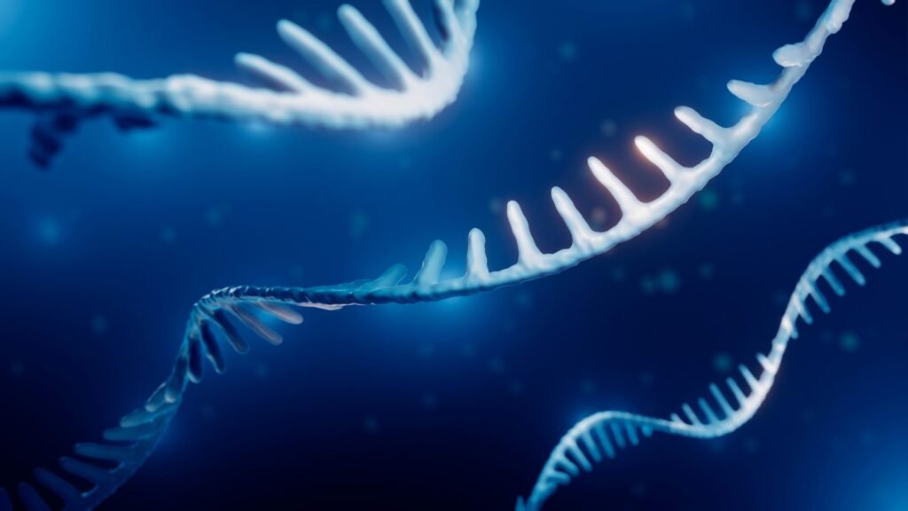 Aging isn’t the same for everyone, down to the molecular level, study finds
