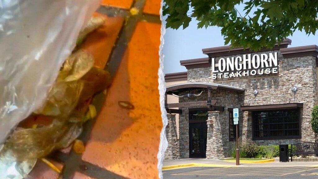 Videos taken at restaurant reveal gross cockroaches crawling in Georgia restaurant Videos taken at restaurant reveal gross cockroaches crawling in Georgia restaurant