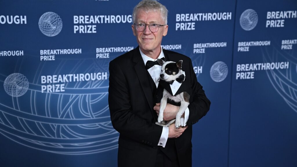 ‘A fantastic entry point to a mystery’: How dogs with narcolepsy helped unravel the misunderstood disease