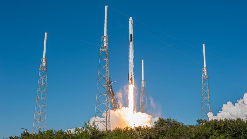 Spaceflight may harm the reproductive system of astronauts’ kids and grandkids, early mouse study suggests