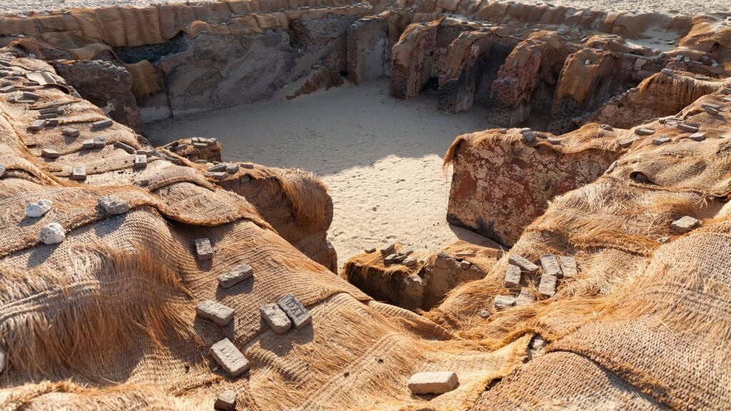 Ancient Egyptians sacrificed pharaohs’ servants so they could continue to serve their king in the afterlife, new study finds