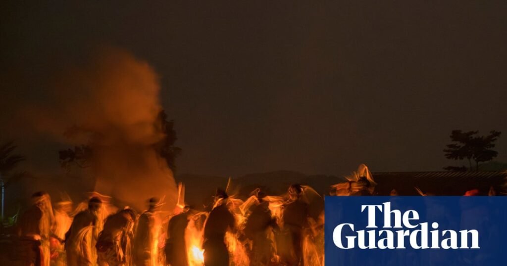 The next ayahuasca? Gabon fights to protect sacred plant from US drug companies | Plants