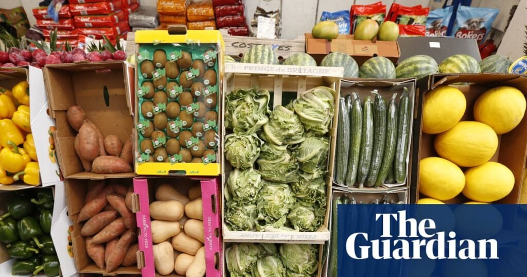 British government ‘complacent about food as a national security matter’ | Food & drink industry