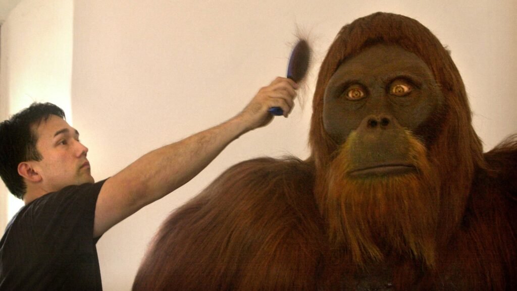 What happened when humans encountered Gigantopithecus?