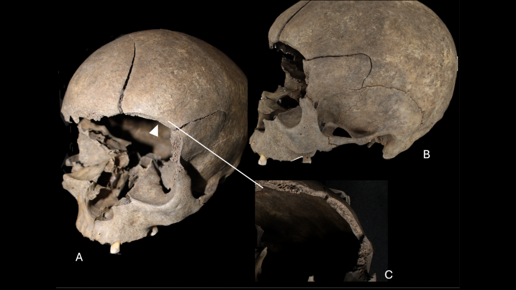 Archaeologists discover a child’s skull built into the floor of a 2,500-year-old Scandinavian house