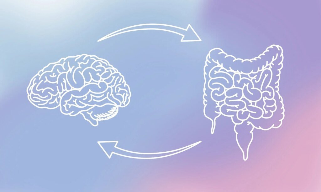 Could the gut be priming the body for a more severe stroke?