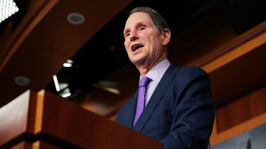 Dems seek tougher standards for firms running Medicaid systems