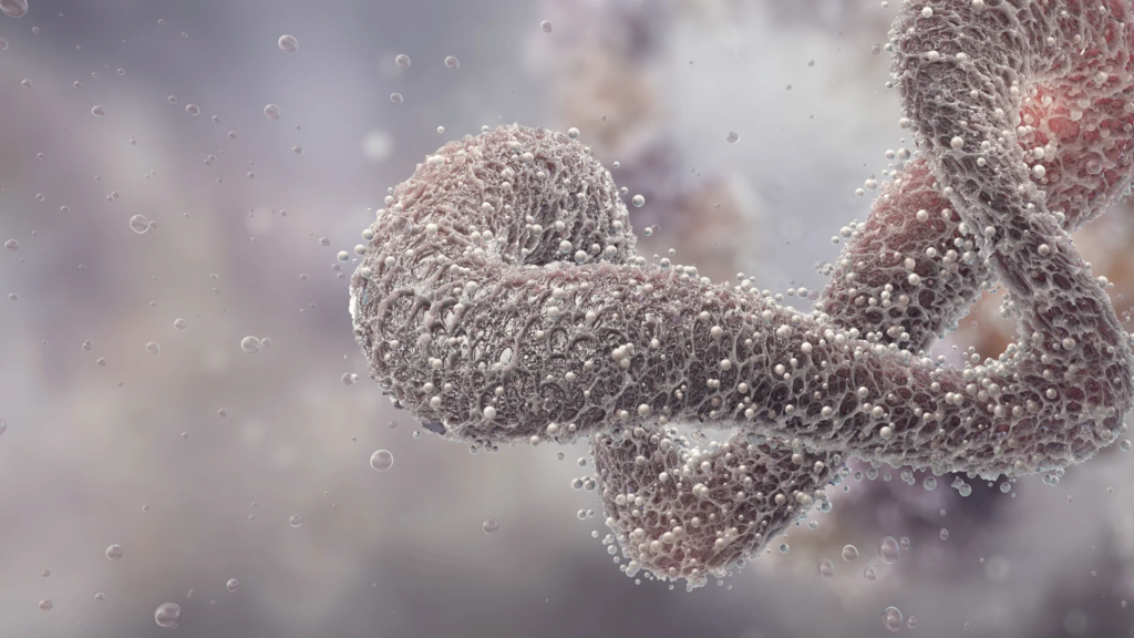From Cellular Heterogeneity to Non-Canonical Biology From Cellular Heterogeneity to Non-Canonical Biology