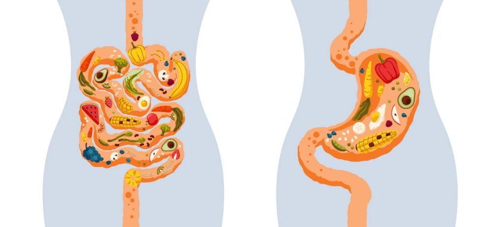 How body fat affects hunger hormones more than diet