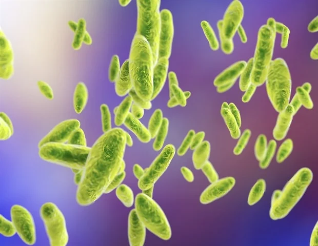 Large-scale meteorological patterns linked to Ebola virus outbreaks Large-scale meteorological patterns linked to Ebola virus outbreaks
