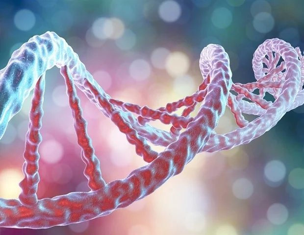 Novel bioprinting technique successfully replicates mature human fat tissue Novel bioprinting technique successfully replicates mature human fat tissue