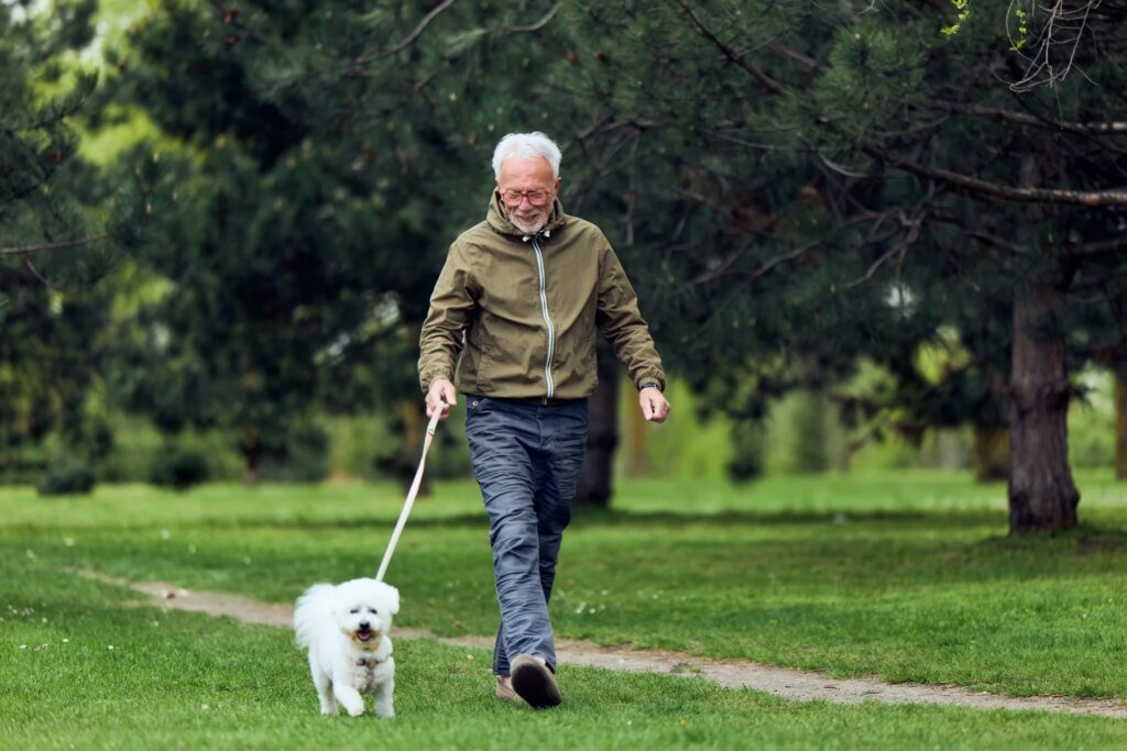 People who walk more each day tend to score better on several brain tests People who walk more each day tend to score better on several brain tests