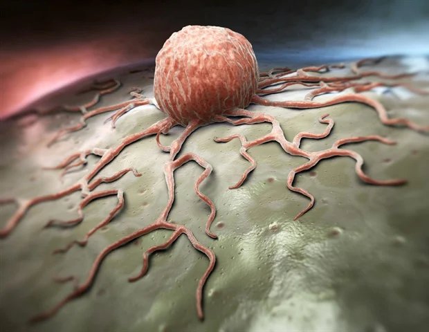 Polymeric nanomedicine strategies improve solid tumor immunotherapy outcomes Polymeric nanomedicine strategies improve solid tumor immunotherapy outcomes