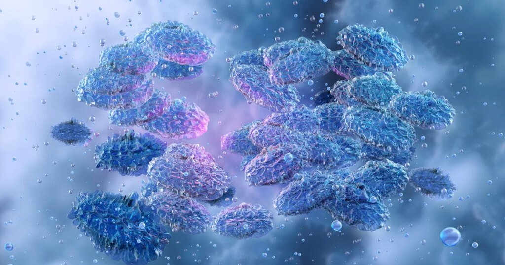 Russia plays down plague fears and denies lab accident, says scientist died of “pneumonia of unknown origin” Russia plays down plague fears and denies lab accident, says scientist died of “pneumonia of unknown origin”