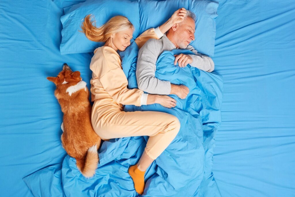 Who moves first at night, you or your dog? Who moves first at night, you or your dog?