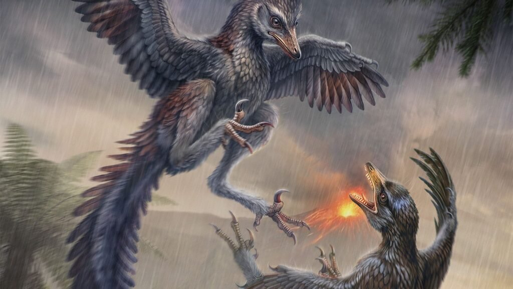Flightless Jurassic bird was like a carnivorous pheasant with killer claws Flightless Jurassic bird was like a carnivorous pheasant with killer claws