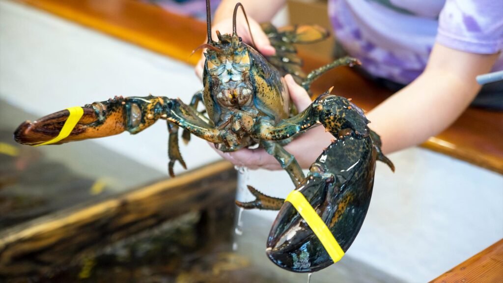 Aspirin and lidocaine blunt pain in crabs and lobsters, raising hard questions about how they are treated before reaching your plate